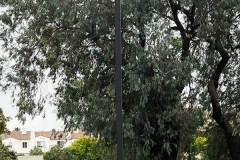 Ventura Muffler Parking Lot Lights, Ventura, CA