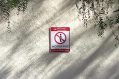 Ventura Museum "No Peeing" Parking Lot Property Management Sign, Ventura, CA