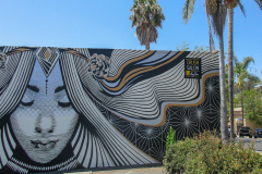 custom-graphic-sign-hand-painted-crush-salon-ventura-ca.jpg