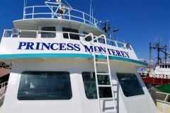 Princess Monterey Custom Graphic Boat Sign, Monterey, CA