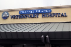 Channel Islands Veterinary Hospital Channel Letter Sign