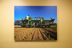 Indoor Office Custom Graphic Photo Print