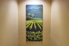 custom-graphics-custom-sign-photo-print-vertical.jpg