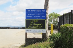 The Berry Man Custom Graphic Sign