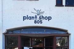 Plant Shop 805 in Ventura CA sign by Dave
