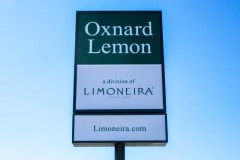 Oxnard Lemon Illuminated Lightbox Sign