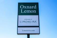 Oxnard Lemon Illuminated Lightbox Sign