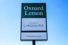 Oxnard Lemon Illuminated Lightbox Sign