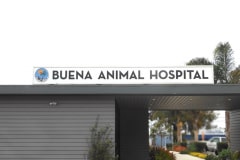 Buena Animal Hospital Illuminated Lightbox Sign