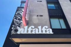 Los Angeles signs for Alfalfa