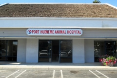 Port Hueneme Animal Hospital Illuminated Lightbox Sign