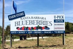 Santa Barbara Blueberries Post and Panel Monument Sign, Gaviota, CA