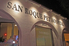 San Roque Pet Hospital Illuminated Dimensional Letter Sign
