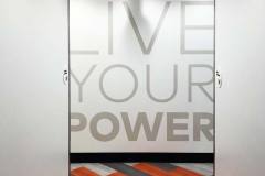 Polypeptide Group Custom Printed Office Wall Graphics, Torrance CA