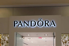 illuminated-channel-letter-pandora.jpg-nggid041496-ngg0dyn-800x600x100-00f0w010c010r110f110r010t010