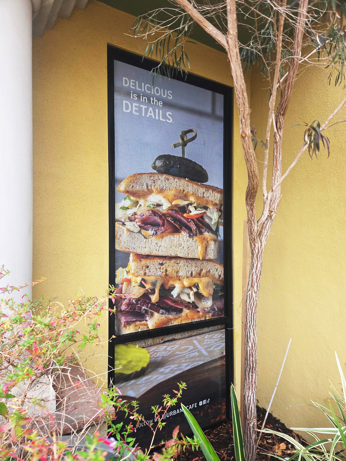Custom window graphics featuring sandwich photography and “Delicious is in the Details” messaging at Urbane Cafe in Goleta, CA.